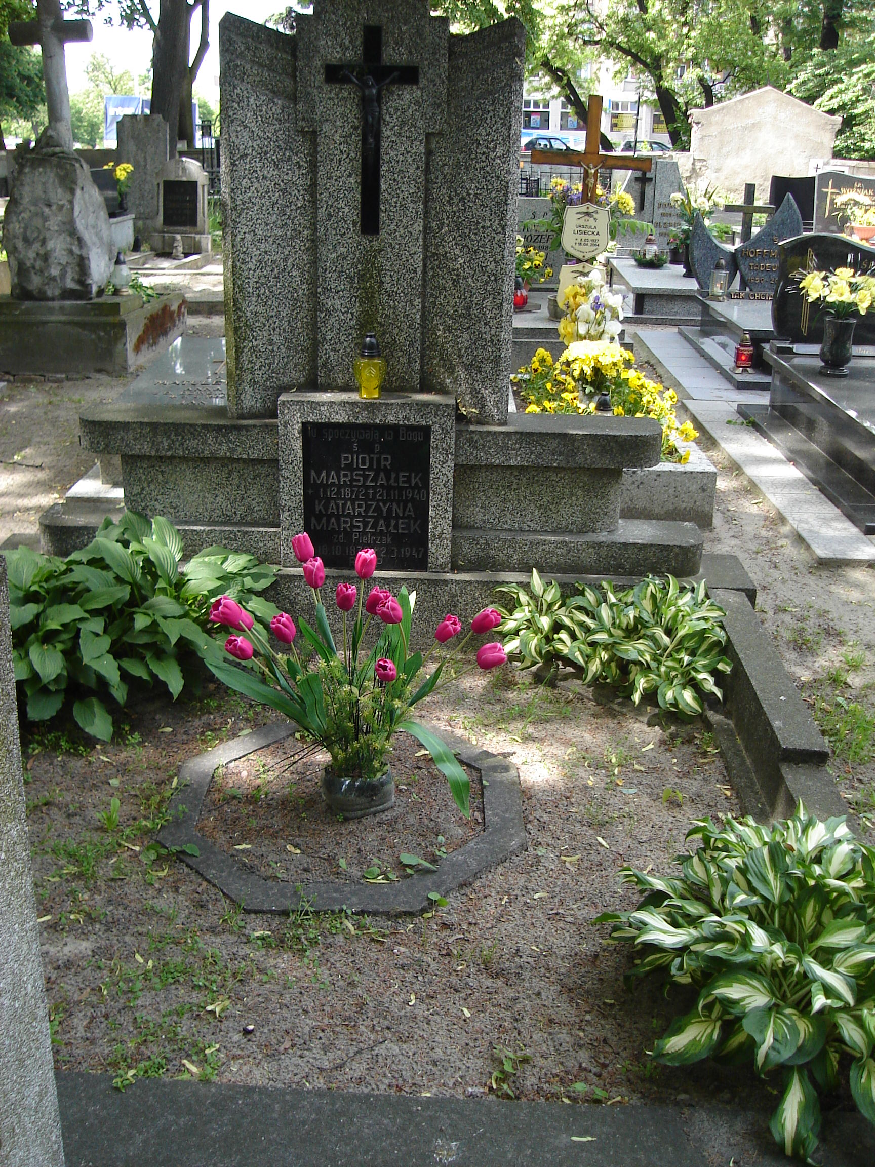 Piotr Marszałek 1872 Ostrów Wielkopolski - Grobonet - Wyszukiwarka osób pochowanych