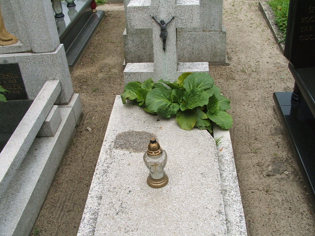 Maria Marciniak 1876 Ostrów Wielkopolski - Grobonet - Wyszukiwarka osób pochowanych