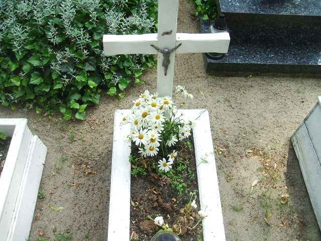 Jan Waga Ostrów Wielkopolski - Grobonet - Wyszukiwarka osób pochowanych