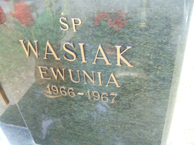 Ewa Wasiak 1966 Ostrów Wielkopolski - Grobonet - Wyszukiwarka osób pochowanych