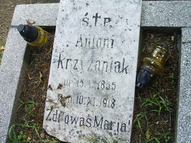 Antoni Krzyżaniak 1855 Ostrów Wielkopolski - Grobonet - Wyszukiwarka osób pochowanych