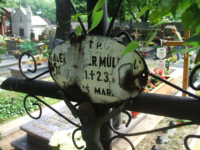 Aleksander Muller 1891 Ostrów Wielkopolski - Grobonet - Wyszukiwarka osób pochowanych