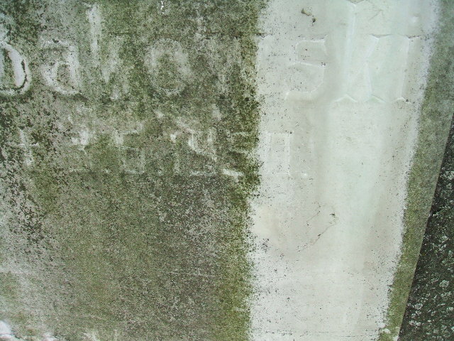 Grób Czesław Bąkowski