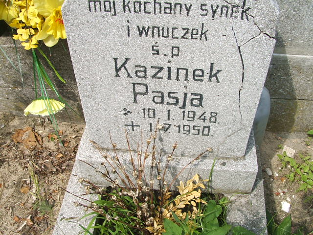 Kazimierz Pasja 1948 Ostrów Wielkopolski - Grobonet - Wyszukiwarka osób pochowanych
