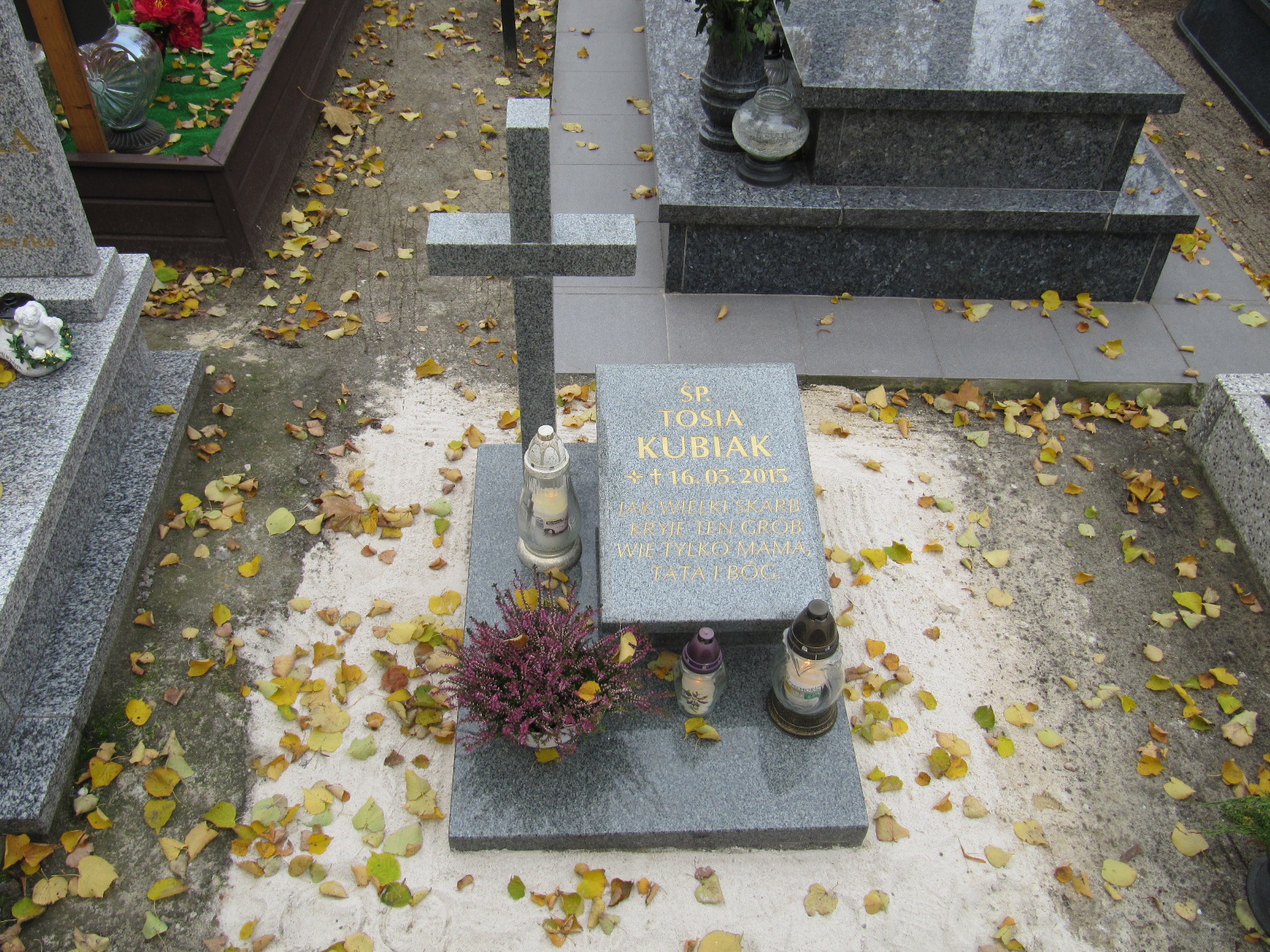Antonina Kubiak 2015 Ostrów Wielkopolski - Grobonet - Wyszukiwarka osób pochowanych