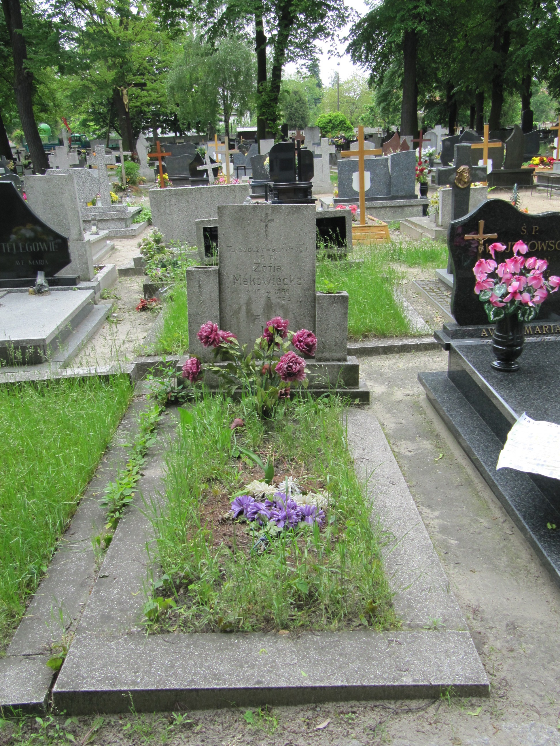 Zofia Makowiecka 1879 Ostrów Wielkopolski - Grobonet - Wyszukiwarka osób pochowanych