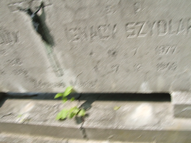 Maria Szydlak 1876 Ostrów Wielkopolski - Grobonet - Wyszukiwarka osób pochowanych