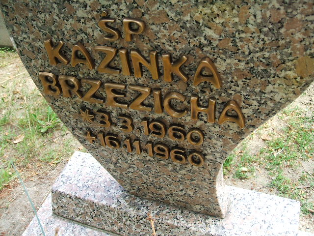 Grób Kazimiera Brzezicha