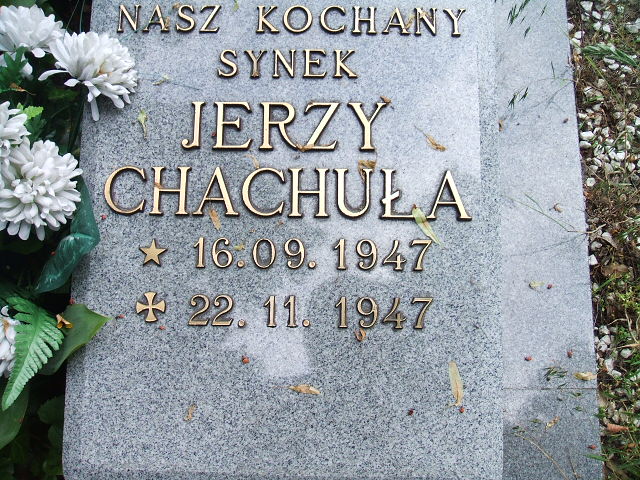Grób Jerzy Chachuła