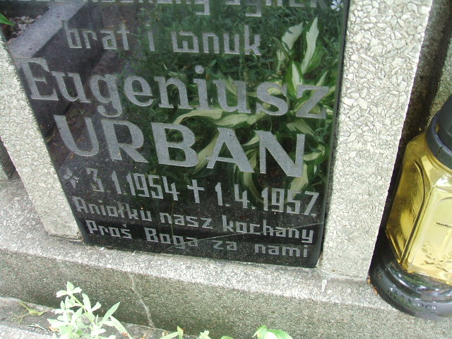 Eugeniusz Urban 1954 Ostrów Wielkopolski - Grobonet - Wyszukiwarka osób pochowanych
