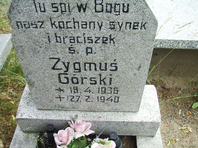 Zygmunt Górski 1936 Ostrów Wielkopolski - Grobonet - Wyszukiwarka osób pochowanych