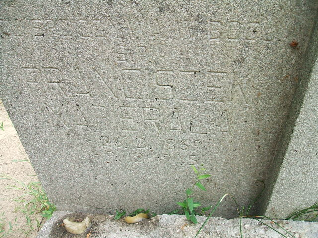 Franciszek Napierała 1839 Ostrów Wielkopolski - Grobonet - Wyszukiwarka osób pochowanych