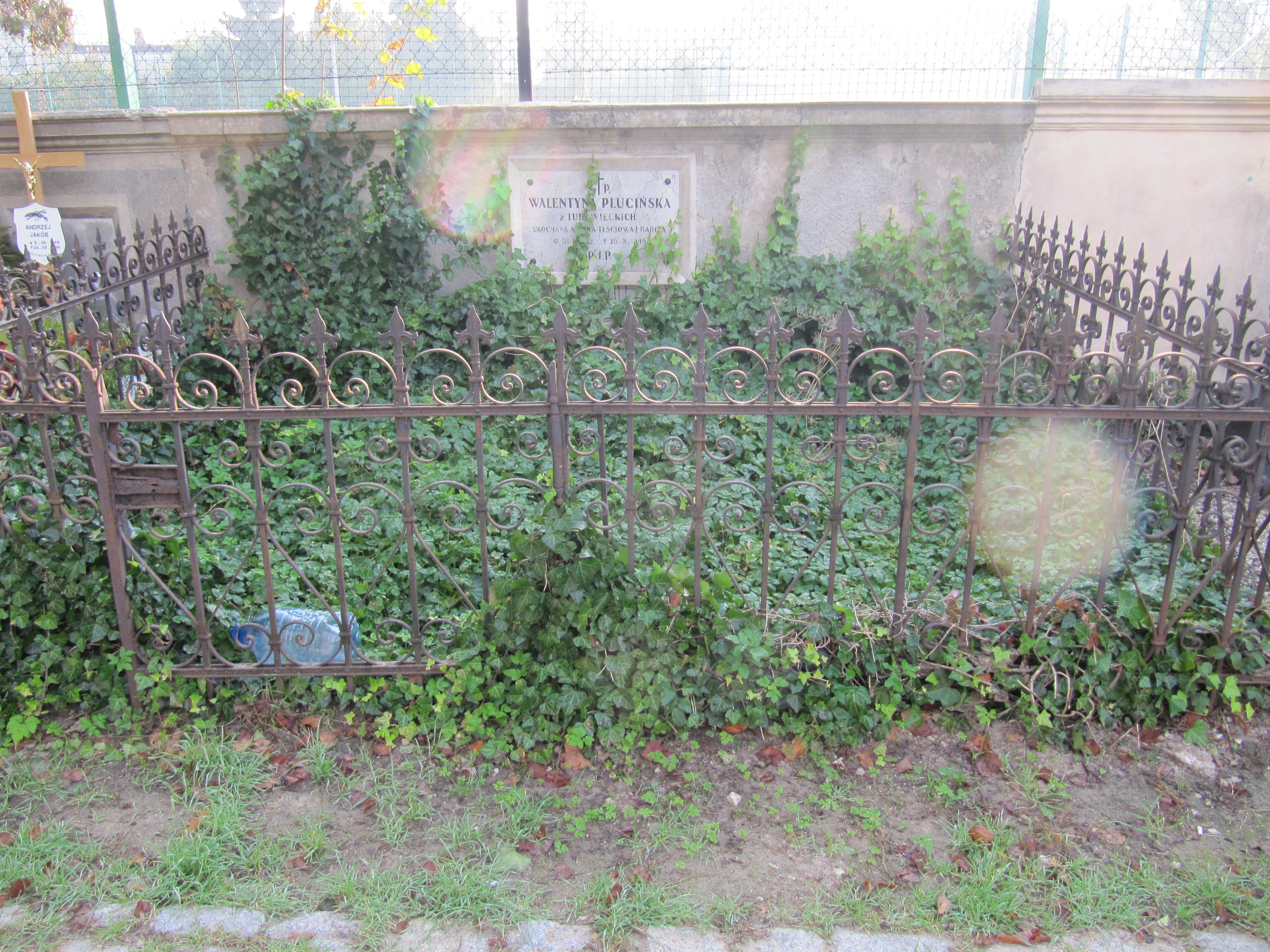 Walentyna Plucińska 1872 Ostrów Wielkopolski - Grobonet - Wyszukiwarka osób pochowanych