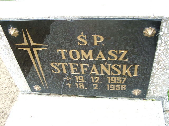 Tomasz Stefański 1957 Ostrów Wielkopolski - Grobonet - Wyszukiwarka osób pochowanych