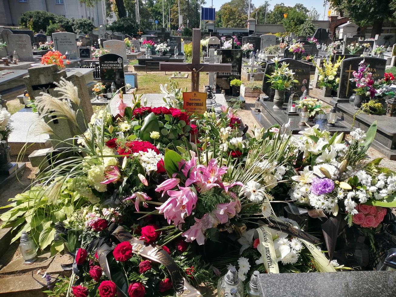 Barbara Duczmal 1956 Ostrów Wielkopolski - Grobonet - Wyszukiwarka osób pochowanych